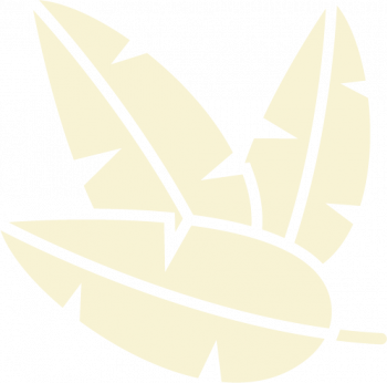 Foto Thorsten Dollmetsch